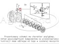 Zestaw naprawczy cylindra hamulca Agrotron