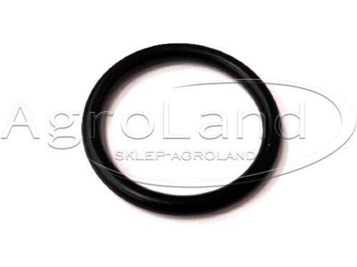 Oring 29.74x3.53 pierścień uszczelniający 2.1530.078.0