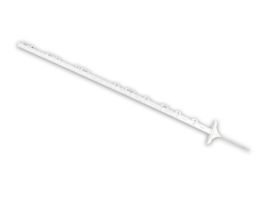 Palik 157 cm